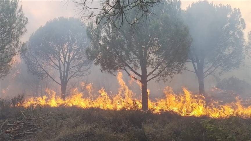 Orman yangınlarından bu yıl en fazla etkilenen 10 il belli oldu 11